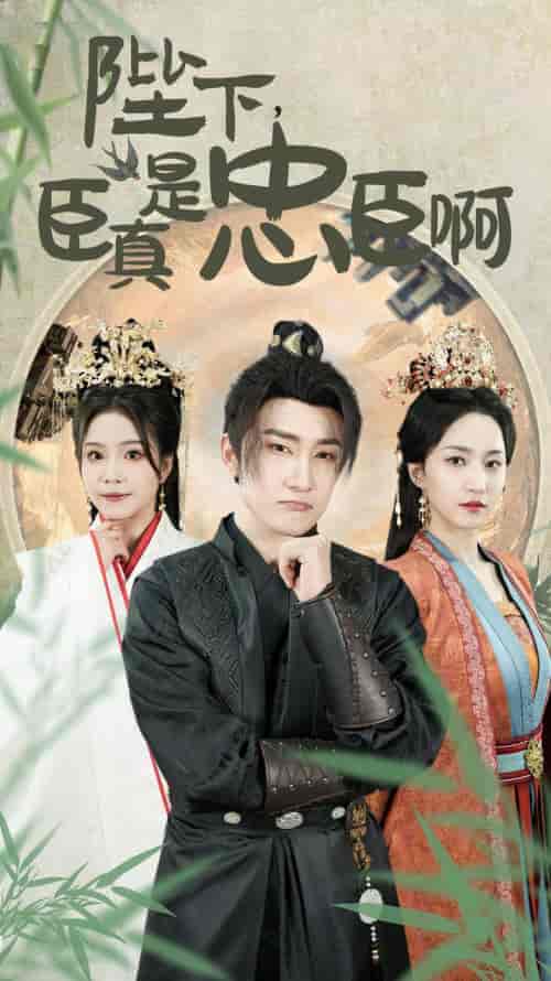 陛下，臣真是忠臣啊（89集）赵慧楠-紫橙资源网