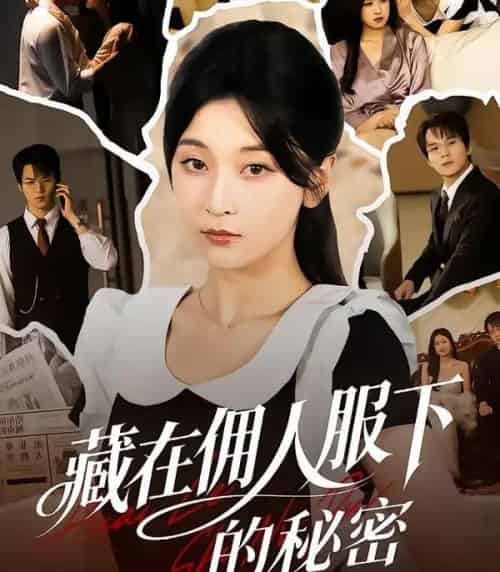 藏在佣人服下的秘密（68集全）李珈童＆汤淇钧-紫橙资源网