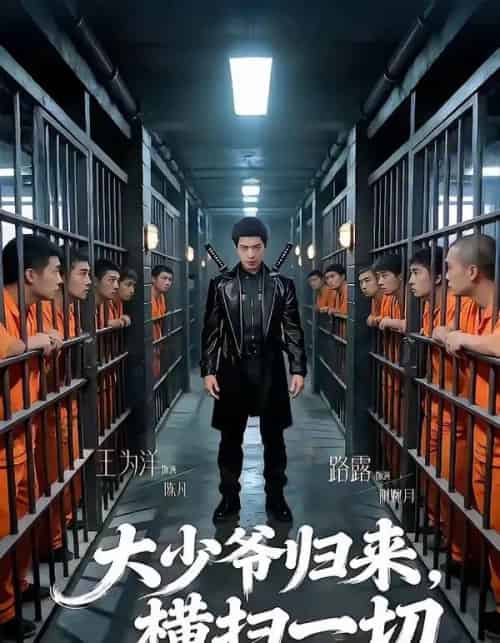 大少爷归来横扫一切（80集全）路露＆王为洋-紫橙资源网