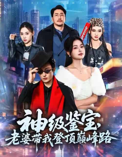神级鉴宝,老婆带我登顶峰路(80集全)林少荣&一然-紫橙资源网