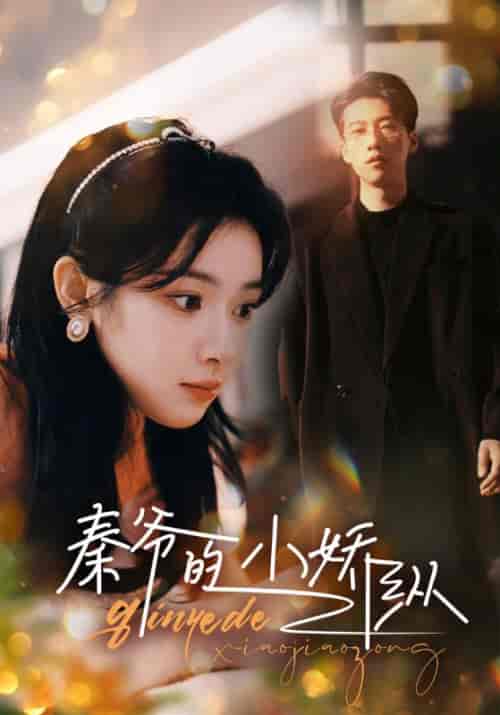 秦爷的小娇纵(96集)-紫橙资源网