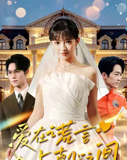 爱在谎言与真心之间（76集全）吴梦媛＆南下-紫橙资源网