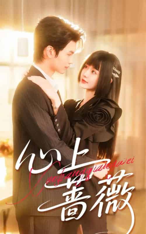 心上蔷薇(100集全)张嘉松&刘安歌-紫橙资源网