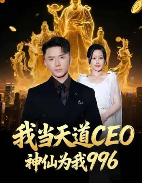 我当天道CEO，神仙为我996（70集全）王艺鑫＆大志-紫橙资源网