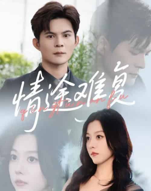 情途难复（50集）李金金＆祈乐-紫橙资源网