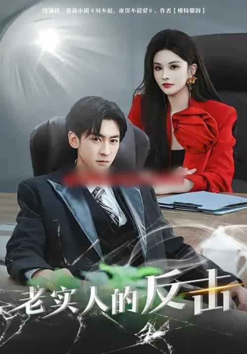 老实人的反击（80集全）李源丰＆彭晏茹-紫橙资源网