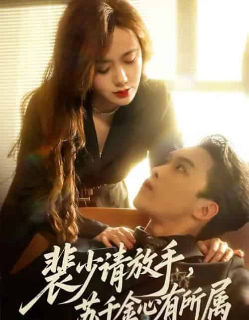 裴少请放手,苏千金心有所属(77集全)高张博&张新涵-紫橙资源网