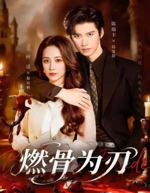 燃骨为刃（62集全）陈瑞丰＆何适-紫橙资源网