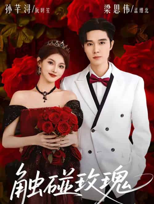 触碰玫瑰（80集全）梁思伟＆孙芊浔-紫橙资源网