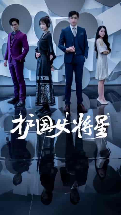 护国女将星（90集）骆总你夫人超能打-紫橙资源网