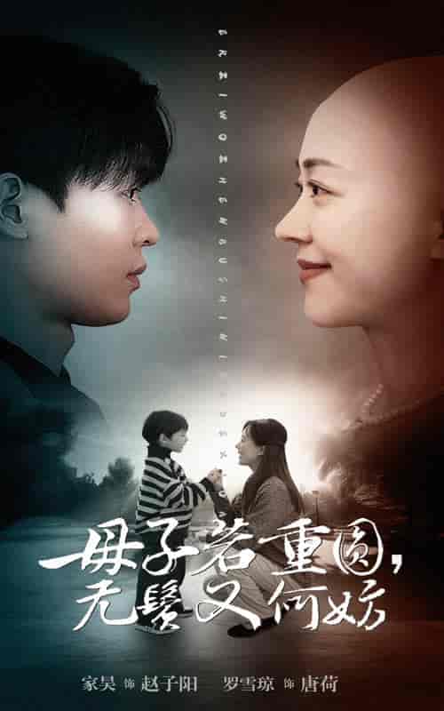 母子若重圆无鬓又何妨（40集全）-紫橙资源网