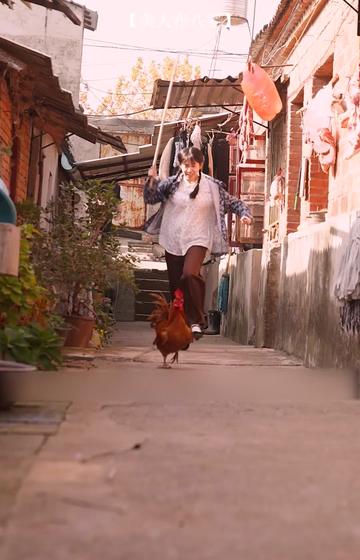 重回80年代(100集)王宇峰 芊芊-紫橙资源网