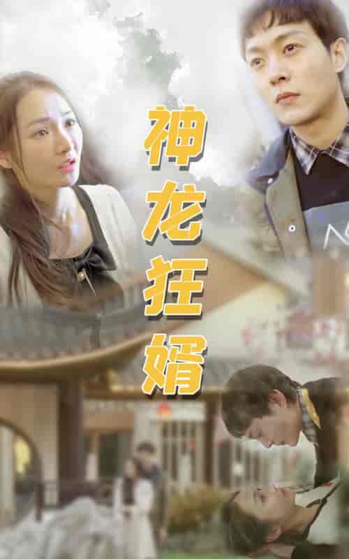 神龙狂婿-96集-紫橙资源网