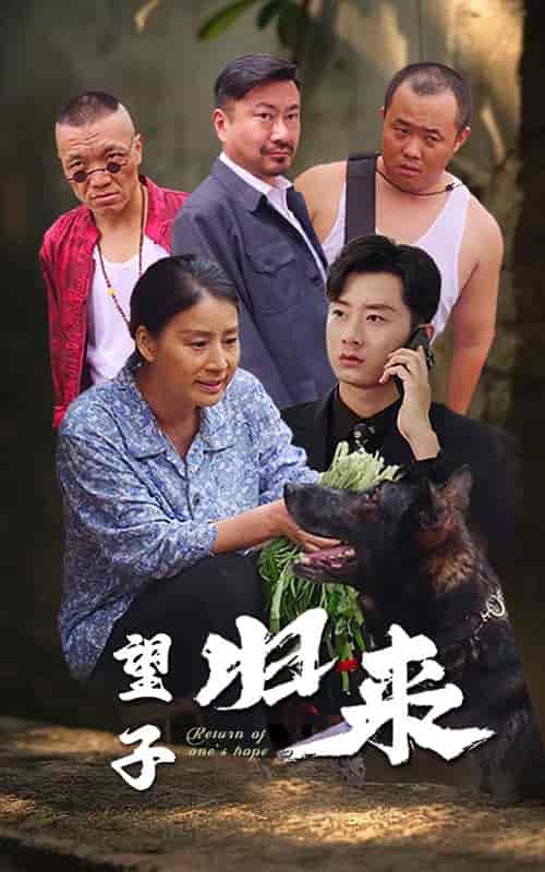 望子归来(50集全)-紫橙资源网