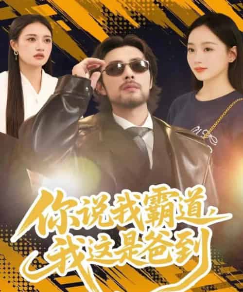 你说我霸道，我这是爸到（70集全）吴鑫尊＆席文君-紫橙资源网