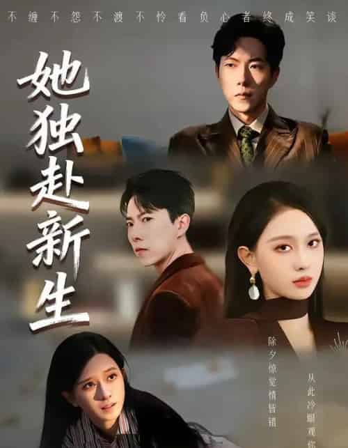 她独赴新生(64集全)陈一孚&高钊宇-紫橙资源网