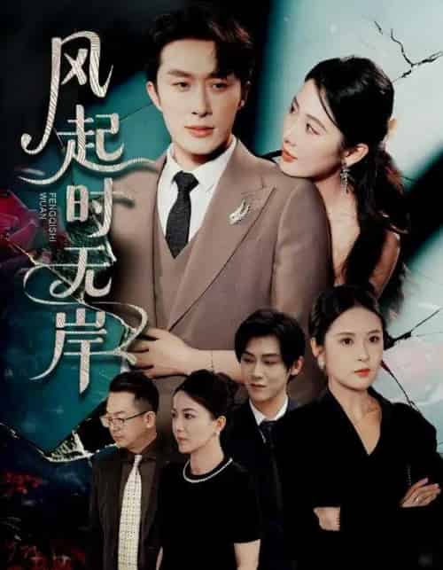 风起时无岸（58集）金鑫欣＆叶庭＆陈酉昔-紫橙资源网