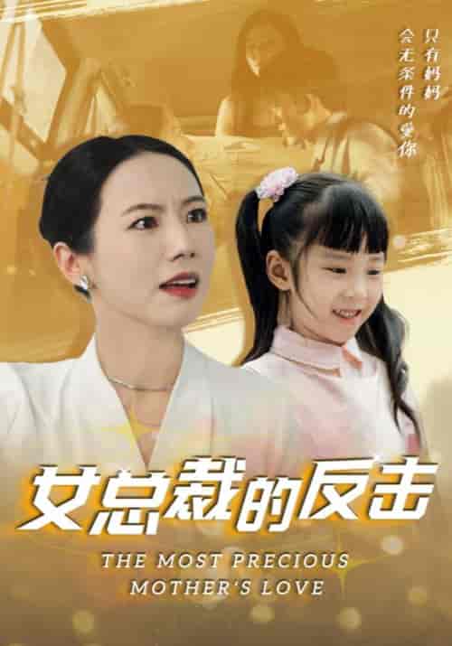 女总裁的反击（40集全）刘志＆吴悦-紫橙资源网