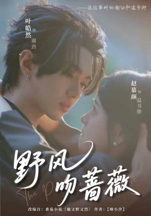 野风吻蔷薇(78集全)叶皓然&赵慕颜-紫橙资源网