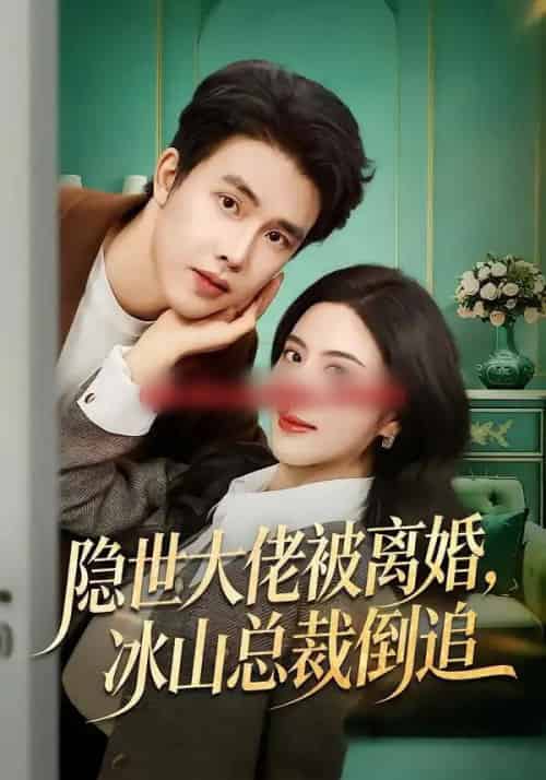 隐世大佬被离婚，冰山总裁倒追（80集全）陆绎方＆朱梦茹-紫橙资源网