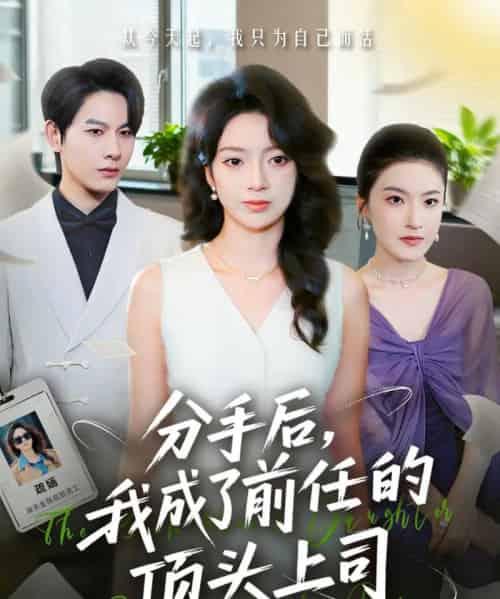 分手后我成了前任的顶头上司(75集全)柏宇豪&张铭文-紫橙资源网