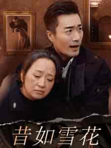 昔如雪花（30集全）-紫橙资源网