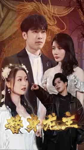 替身龙主(80集)-紫橙资源网