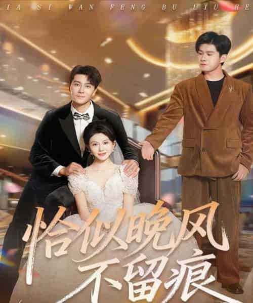 恰似晚风不留痕（61集全）田不凡＆孔莹莹-紫橙资源网