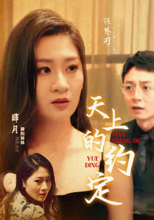 天上的约定(24集)-紫橙资源网