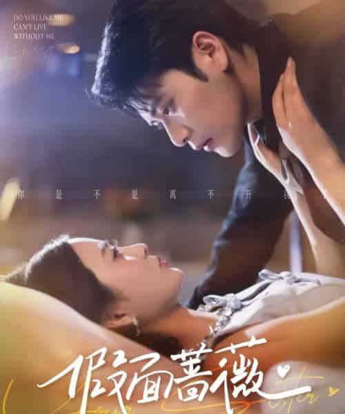 假面蔷薇（62集全）张志伟＆刘美娜-紫橙资源网