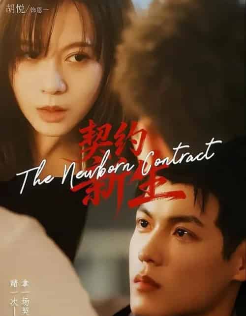 契约新生(70集全)胡悦&贺宇-紫橙资源网
