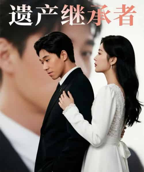 遗产继承者（32集）戴剑文-紫橙资源网