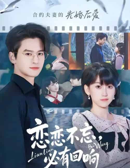 恋恋不忘，必有回响（80集全）张埜＆杨乔语-紫橙资源网