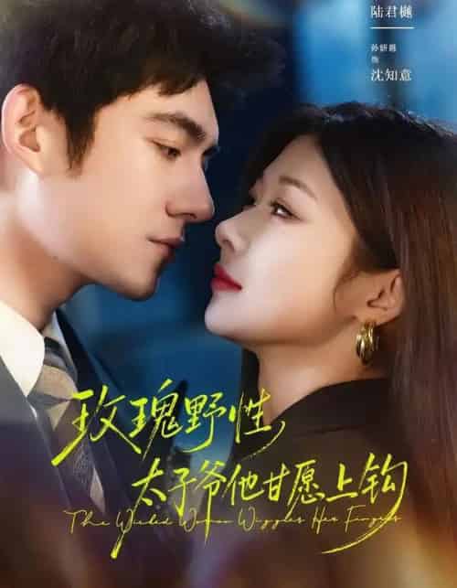 玫瑰野性，太子爷他甘愿上钩（82集全）马浩东＆孙妍恩-紫橙资源网