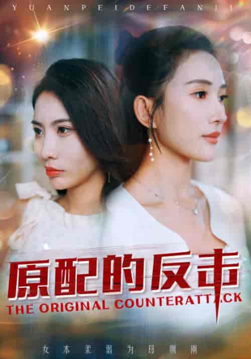 原配的反击（38集全）顾羡诚＆季宁心 - 紫橙短剧