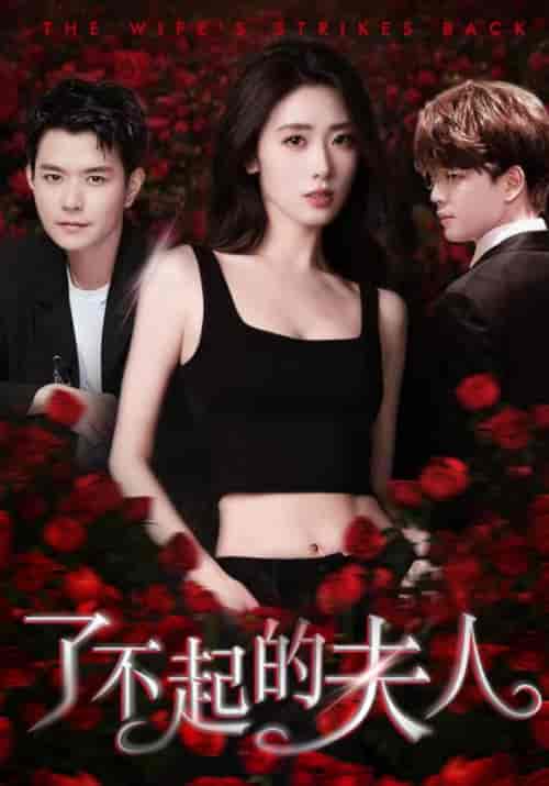 了不起的夫人（51集）章海贝＆乔咏恩-紫橙资源网