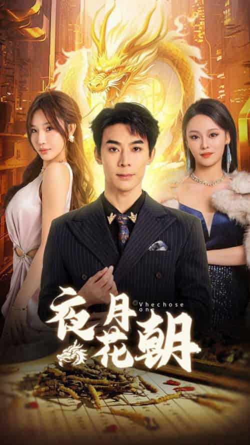 夜月花朝（30集全）-紫橙资源网