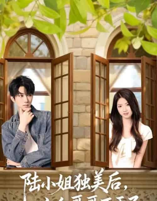 陆小姐独美后六个哥哥不干了(84集全)钊宏&高洁慧-紫橙资源网