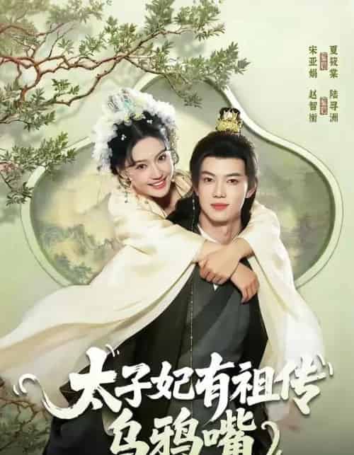 太子妃有祖传乌鸦嘴（73集全）赵智衡＆城城-紫橙资源网