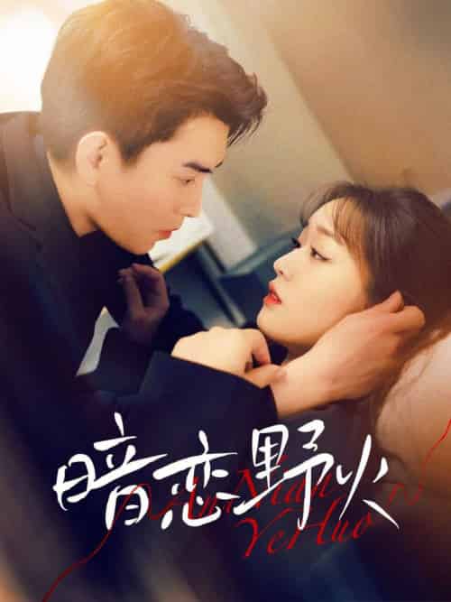 暗恋野火（75集全）石佳＆吴佳璐-紫橙资源网