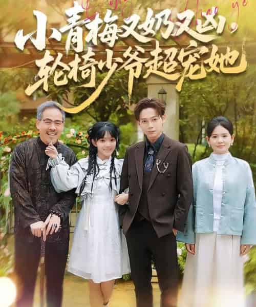 小青梅又奶又凶，轮椅少爷超宠她（90集全）王镱深＆张紫璇-紫橙资源网