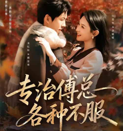 专治傅总各种不服(80集全)龙钇辰&任娄怡-紫橙资源网