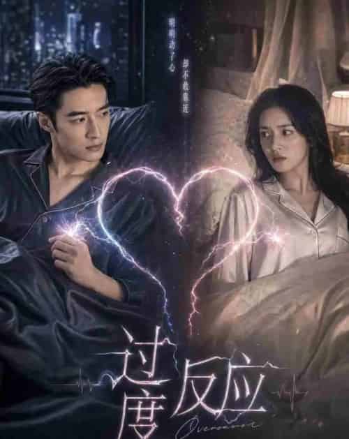 过度反应(51集全)AI-紫橙资源网