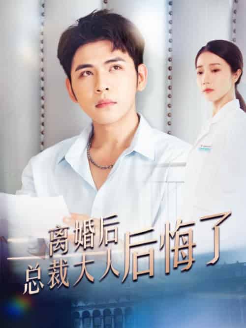 离婚后总裁大人后悔了（110集全）墨北夜＆安炫-紫橙资源网