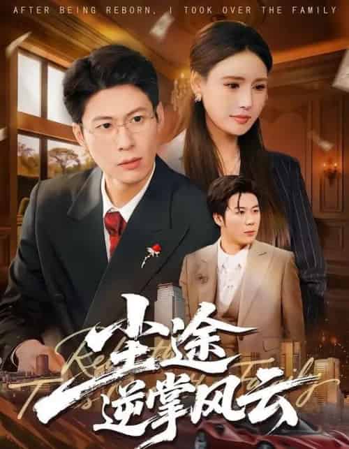尘途逆掌风云(52集全)李子杰&绾绾&樊菲-紫橙资源网