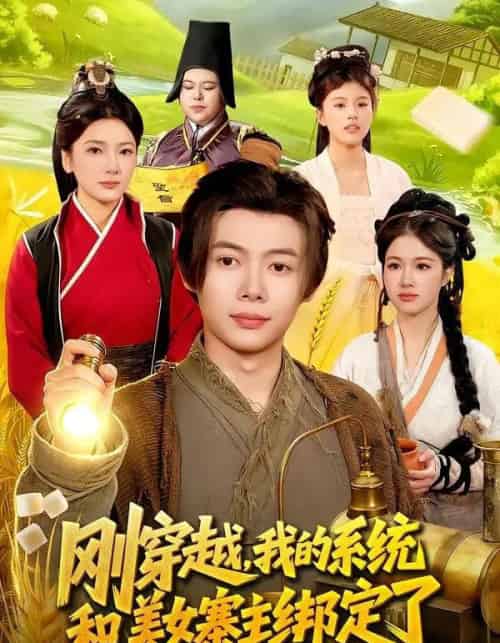 刚穿越，我的系统和美女寨主绑定了（98集全）王镱深＆姜云宁-紫橙资源网