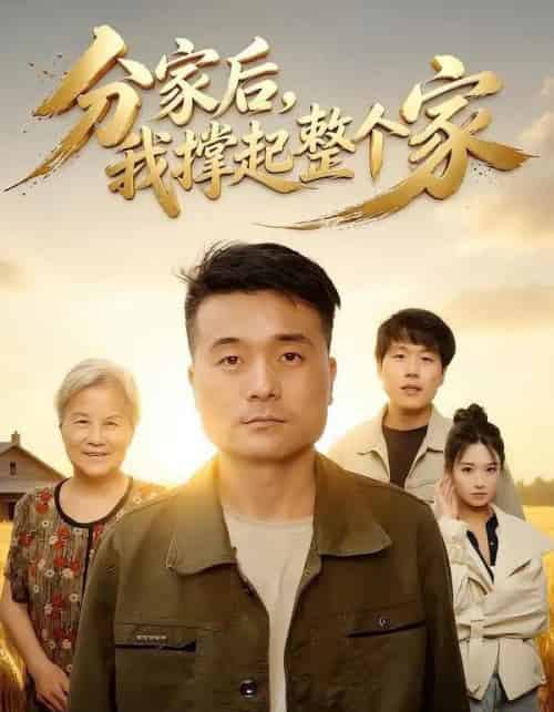 分家后我撑起整个家（61集全）张川＆杨敬晶-紫橙资源网