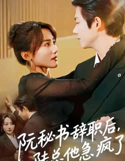 阮秘书辞职后，陆总他急疯了（80集全）闫聪＆王厂-紫橙资源网