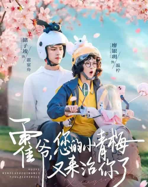 霍爷，您的小青梅又来治你了（90集全）储子竣＆廖银玥-紫橙资源网