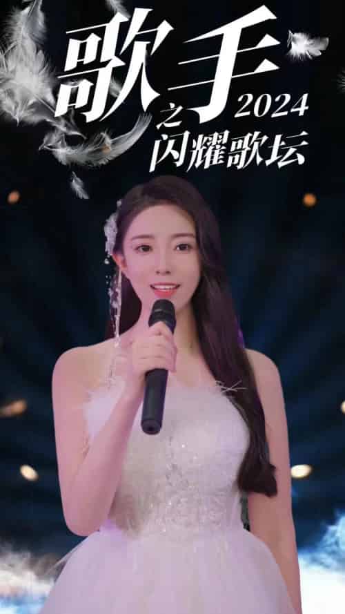 歌手2024之闪耀歌坛（79集）-紫橙资源网